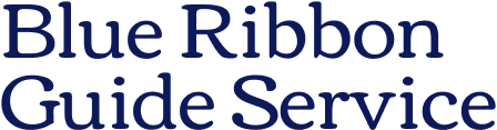 A black and blue background with the words " rib-e se ".